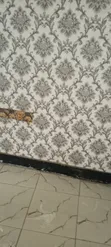 Mini Flat for Sale in Old Town, Mombasa - 4