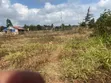 Kitalu cha 100x50ft cha Kuuzwa Limuru - 1