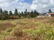 Kitalu cha 100x50ft cha Kuuzwa Limuru - 2