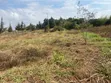 Kitalu cha 100x50ft cha Kuuzwa Limuru - 3