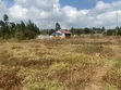 Kitalu cha 100x50ft cha Kuuzwa Limuru - 4