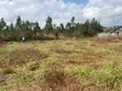 Kitalu cha 100x50ft cha Kuuzwa Limuru - 5
