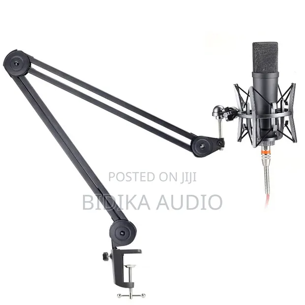 Boyong BY38 Microphone Arm - 1