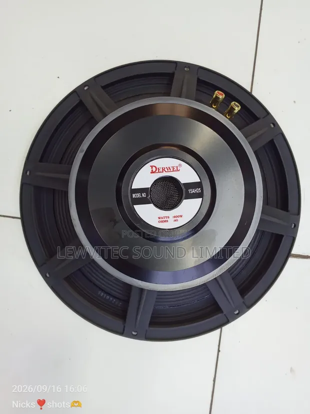 Derwel Mid Range Speaker - 1