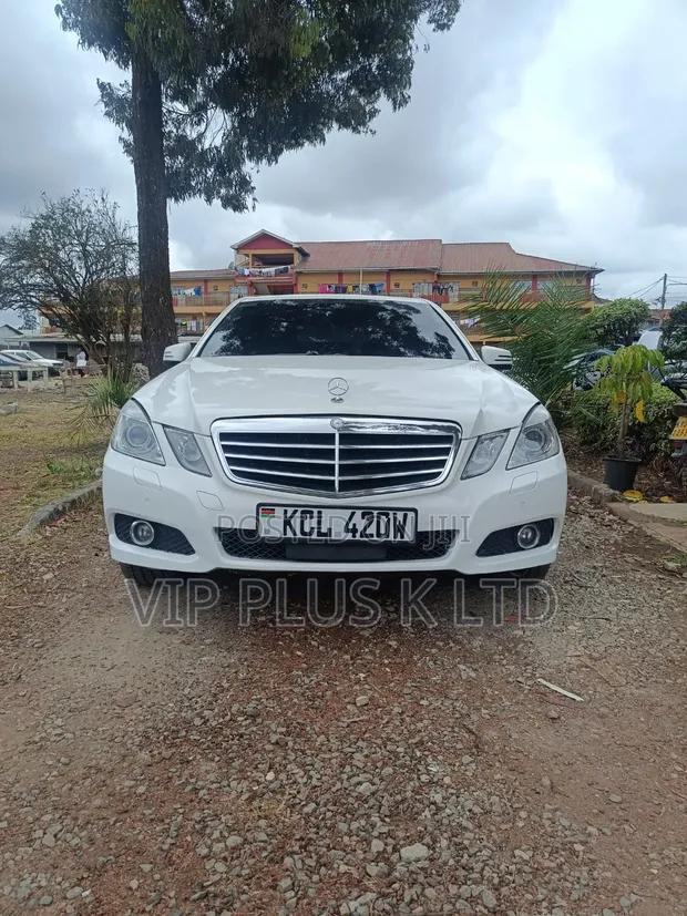 2010 Mercedes-Benz E350 Base Sedan - 1