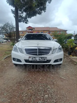 2010 Mercedes-Benz E350 Base Sedan