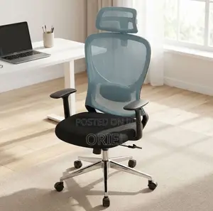 Ergonomic Office Staff Chair - Blue Back