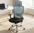 Ergonomic Office Staff Chair - Blue Back - 1