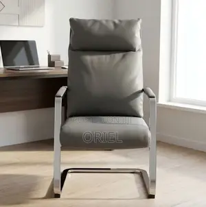 Executive Gray Office Visitor Chair