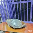 Nissan Note Xenon Headlamp - 2005 Model, Ex-Japan - 1