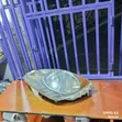 Nissan Note Xenon Headlamp - 2005 Model, Ex-Japan - 2