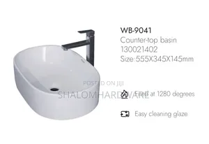 Premier Ceramic Countertop Wash Basin