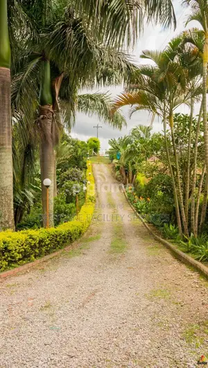 Professional Landscaping & Gardening Services in Nairobi