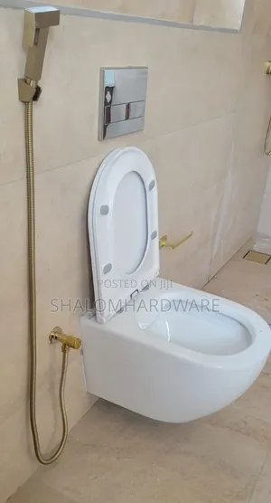 Premier Wall Hung Toilet with Concealed Cistern