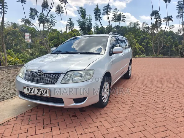 Toyota Corolla Fielder 2006 Silver - 1