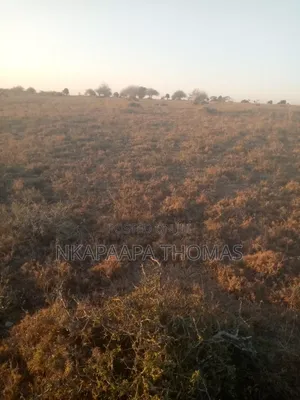 Ardhi Inauzwa Mpakani na Hifadhi ya Taifa Nairobi, Athi River