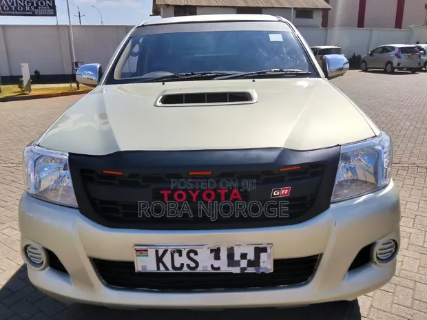 Toyota Hilux 3.0 D-4D 4x4 Double Cab 2012 Brown - 1