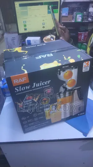 RAF R.2838 Slow Juicer 250W - Cold Press Masticating Juicer
