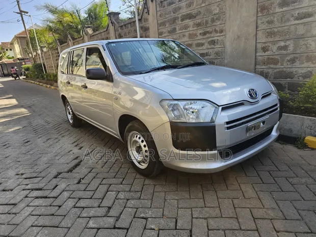 Toyota Probox 2019 Silver - 1