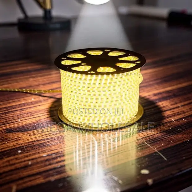 50M SMD Warm White LED Strip Light Snake Light - 1