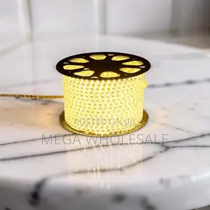 50M SMD Warm White LED Strip Light