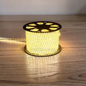 50M SMD Warm White LED Strip Light Snake Light