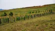 Oasis Gardens Ngoliba - Viwanja Bora vya 50x100ft - 3