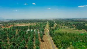 Oak Grove City - Juja Residential Plots