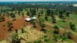 Oak Grove City - Juja Residential Plots - 3