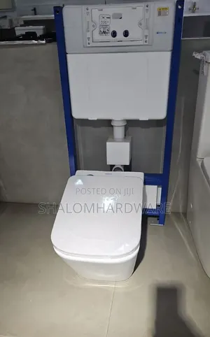 Back to Wall Toilet with Cistern