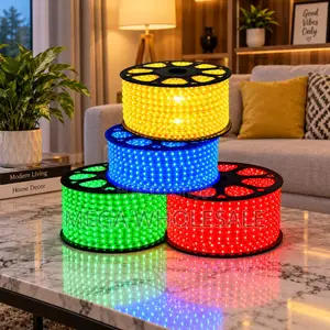 Durable 50m Outdoor LED Snake Light with Connector