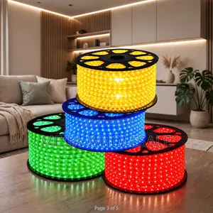 50m Nuru ya Kamba ya Nyoka ya LED ya Nje na Kiunganishi