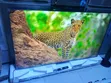 TCL 65" QLED Google TV 65C635 - 1
