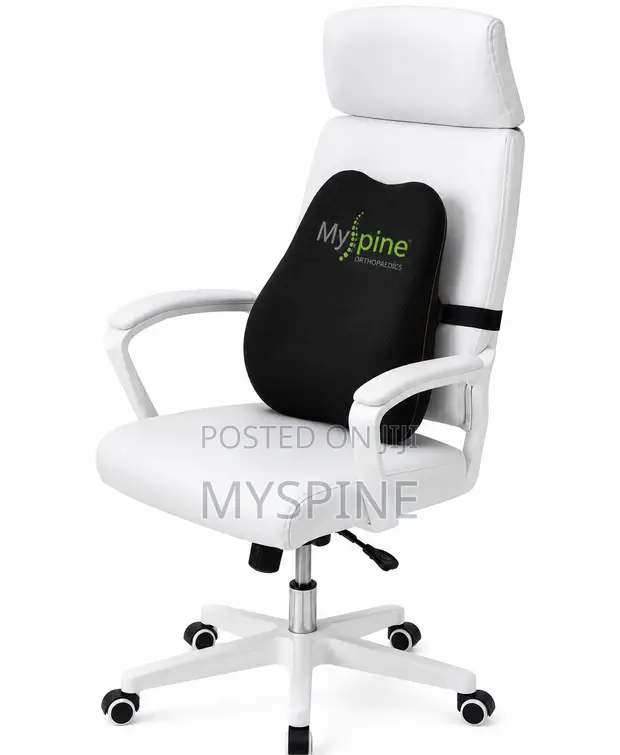 Lumbar Support Pillow - Mpya Kabisa - 1