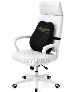 Lumbar Support Pillow - Mpya Kabisa
