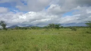 50 Acres for Sale in Bissil, Kajiado | 3.5km from Namanga Highway