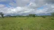 50 Acres for Sale in Bissil, Kajiado | 3.5km from Namanga Highway - 1