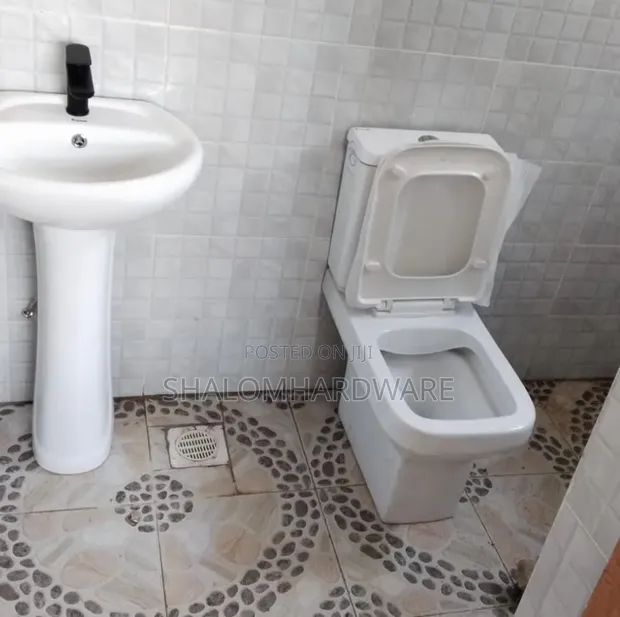 Premier Toilet Seat and Sink Pedestal - 1