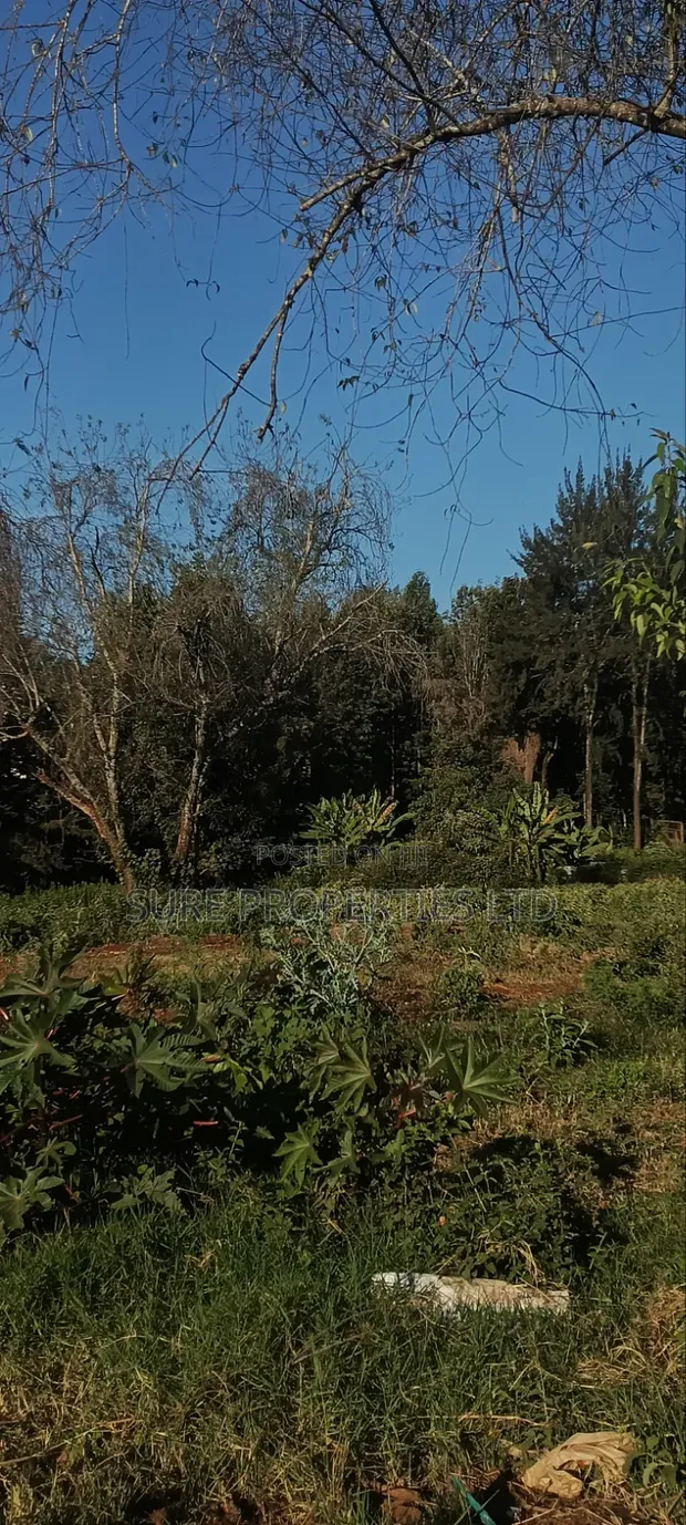 1 Acre Commercial Land for Sale in Kinoo - 1
