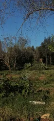 1 Acre Commercial Land for Sale in Kinoo - 1
