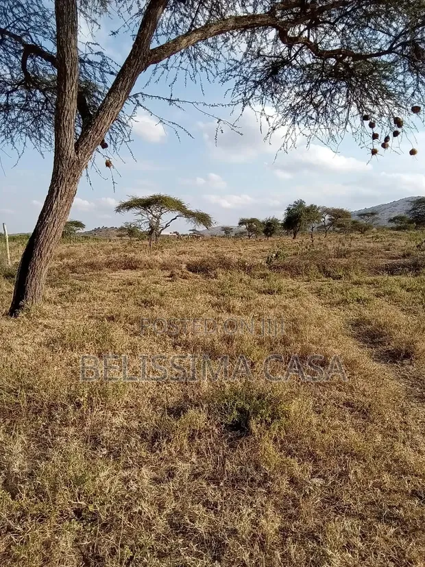 50x100 Plots for Sale in Bissil Town | Kajiado County - 1