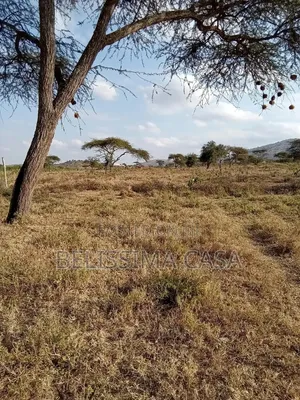 Viwanja 50x100 Vinauzwa Bissil Town | Kaunti ya Kajiado