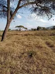 Viwanja 50x100 Vinauzwa Bissil Town | Kaunti ya Kajiado - 1