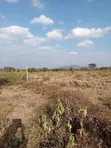 Viwanja 50x100 Vinauzwa Bissil Town | Kaunti ya Kajiado - 3