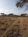 Viwanja 50x100 Vinauzwa Bissil Town | Kaunti ya Kajiado - 4