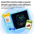 2-in-1 Talking Flash Card Reader & LCD Writing Tablet - 3