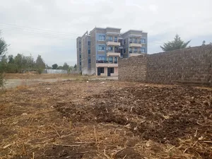 Kitalu cha 40x80 Twiga Estate, Ruiru Karibu na Courtesy Beach