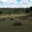 Ardhi Bora ya Eka 150 kwa Uuzaji - Karadi - 1