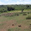 Ardhi Bora ya Eka 150 kwa Uuzaji - Karadi - 5
