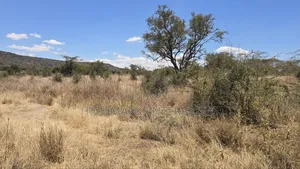 50 Acres Prime Land for Sale on Mombasa Road, Lukenya